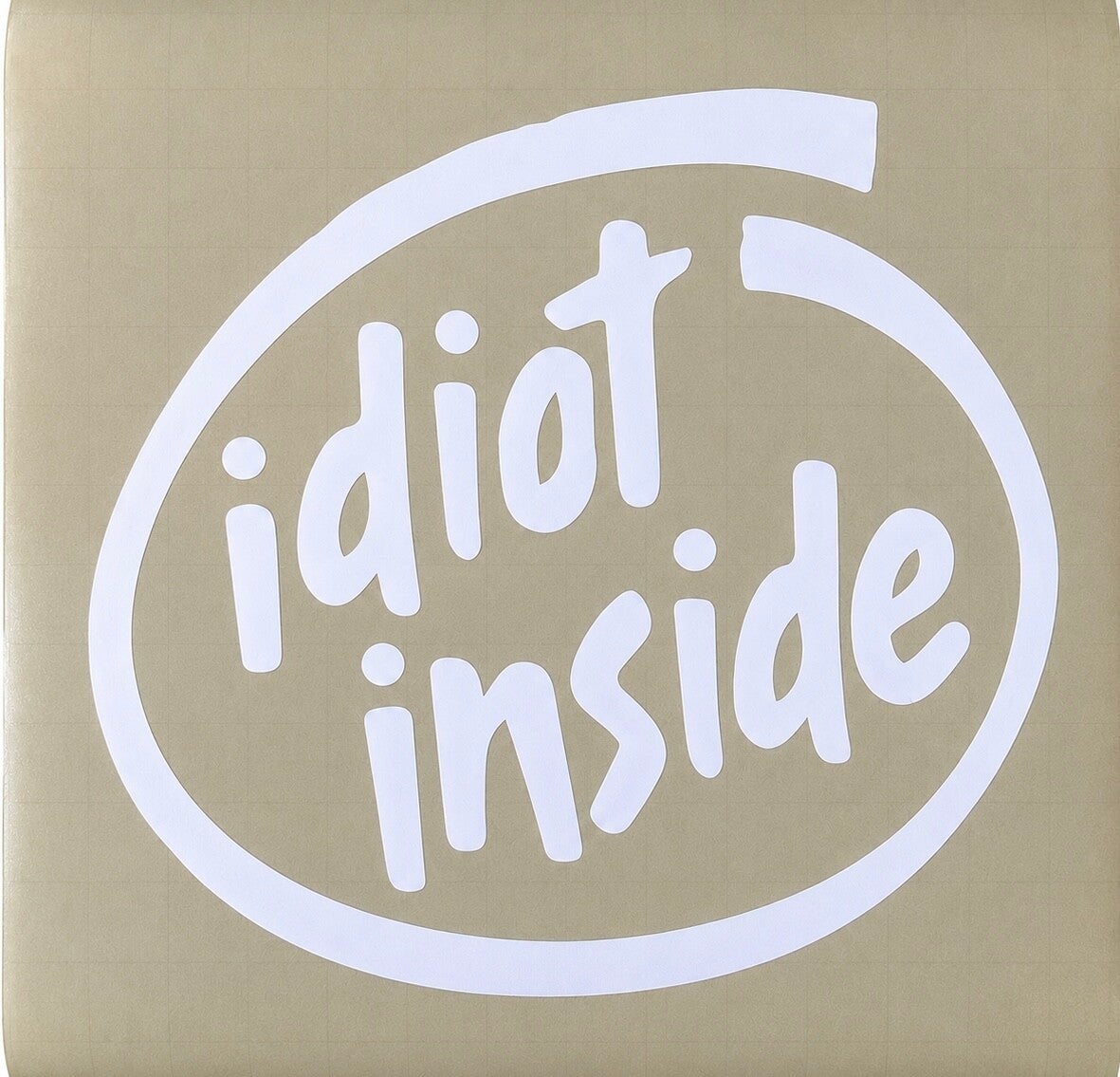 Idiot inside
