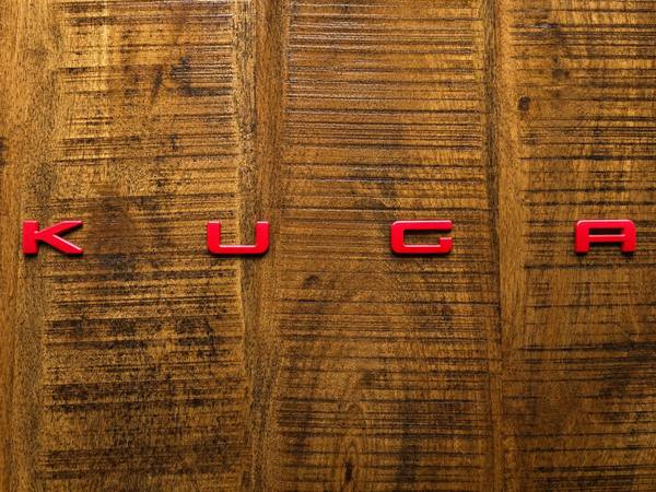 Puma achterklep embleem Rood