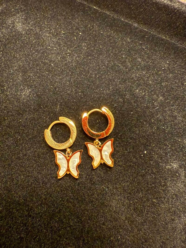 Creolen Schmetterling