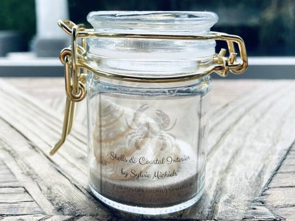 Surfers Shell in a Jar - Troca Trochus Pearl (SHL-321)