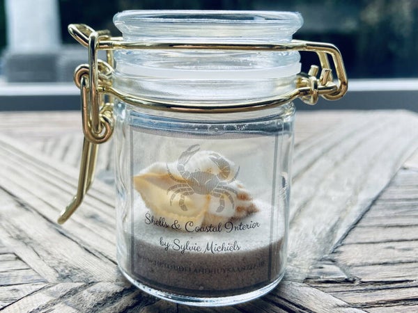 Surfers Shell in a Jar - Trapezoid (SHL-318)