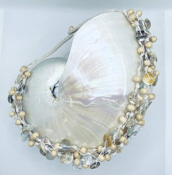 Senegal Organic Shells Little Sand (SUN-248)