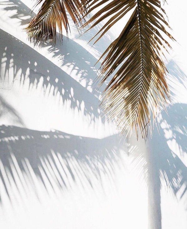 NEW! Party Set Champagnefles - Glazenhouder (SEA-849/850)