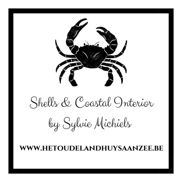 NEW! Haarspeld uit Bali