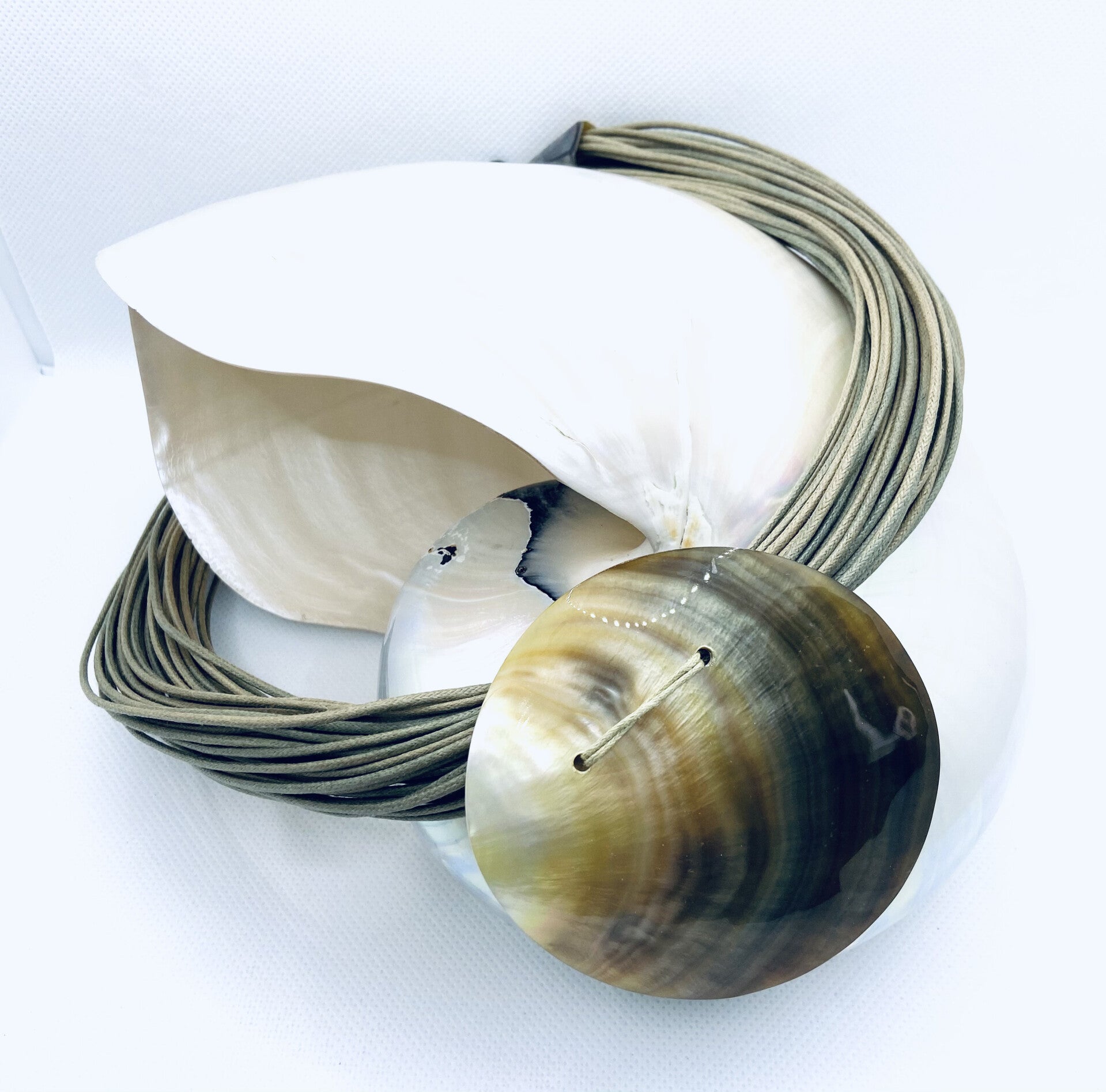 Seychelles Organic Island Treasures Shell (SUN-245)