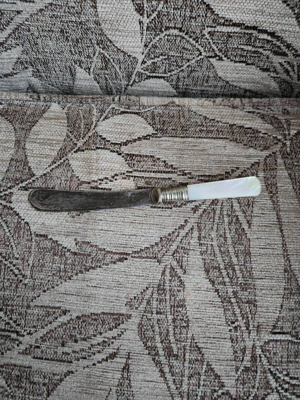 EPNS & Mother of Pearl Fruit Knife