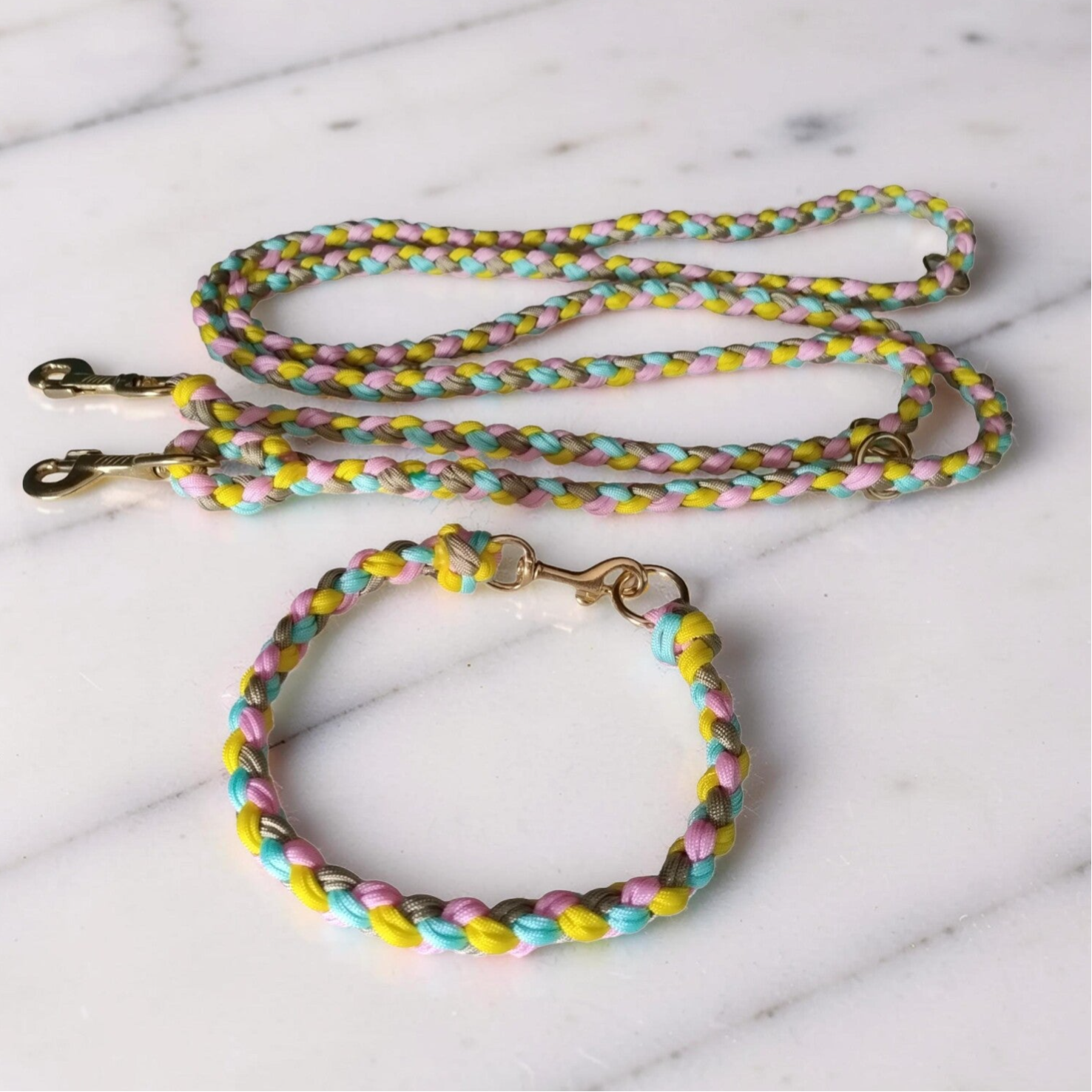 Paracord Lead & ID Collar Set (Spring 2026)