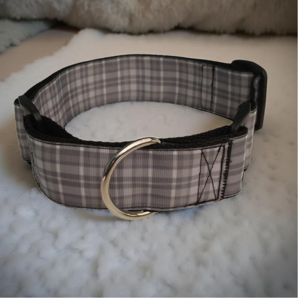 Martingale -Pastel Pawprint - 2.5cm wide