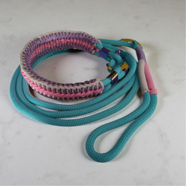 Slip Lead with Integrated Adjustable Collar - Blue Pink