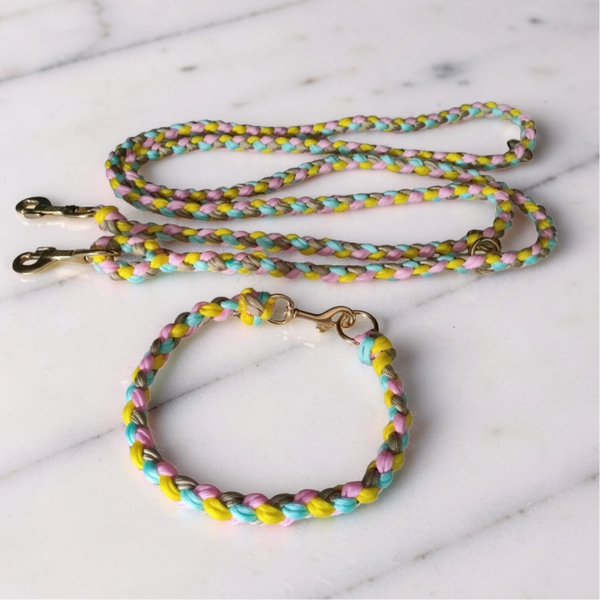 Paracord Lead & ID Collar Set (Spring 2026)
