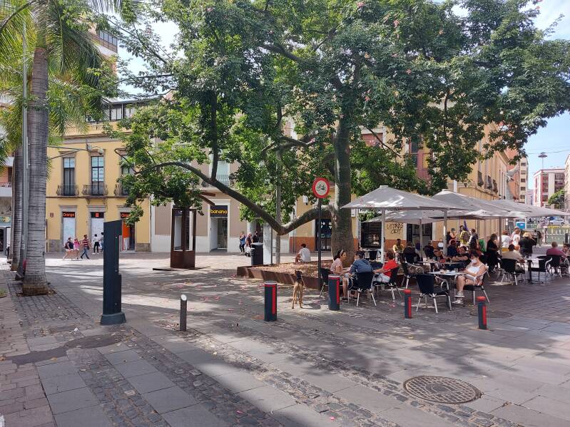vakantie santa cruz tenerife