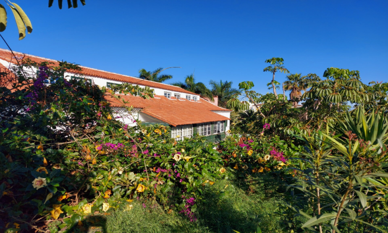 vakantie huizenpuerto de la Cruz