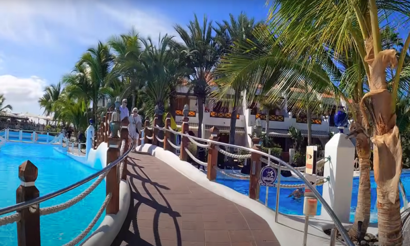 vakantie Playa de las Américas