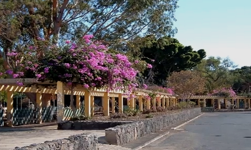 gezellig costa del silencio