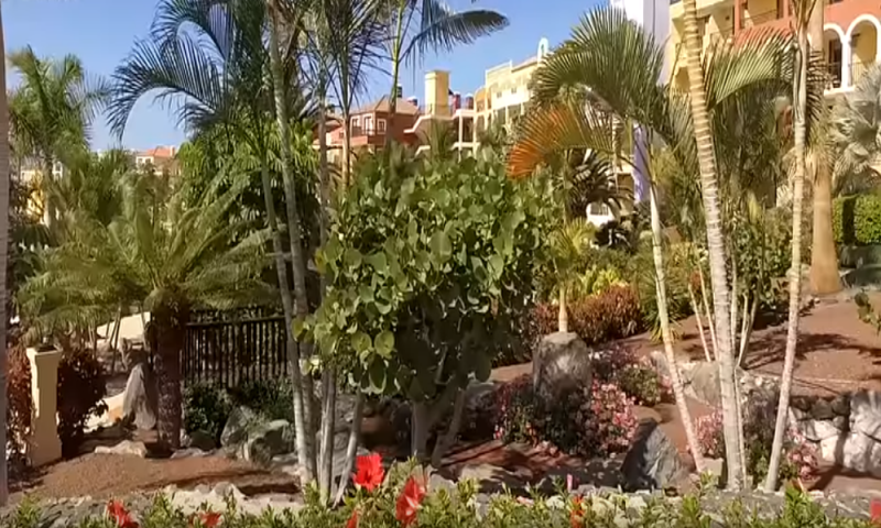 mandain hotel costa adeje
