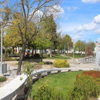 img_5283-standard.jpg