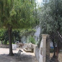 img_5698-standard.jpg