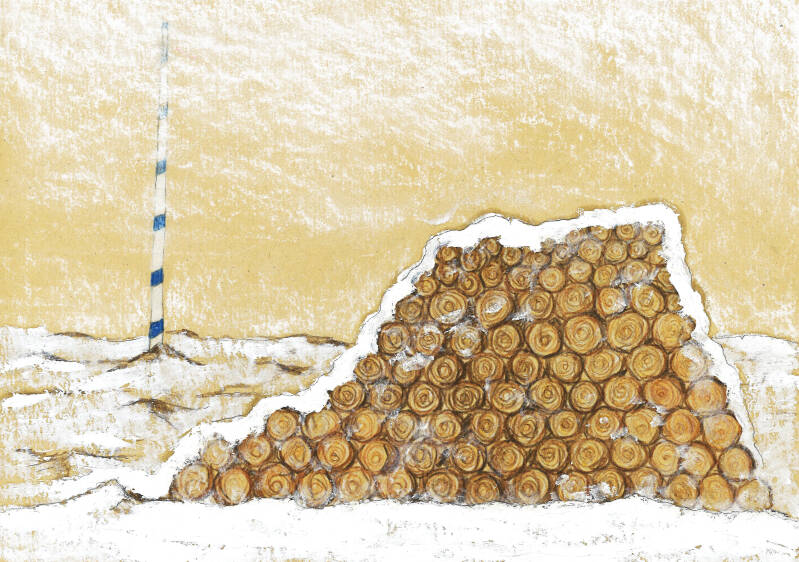 logs-original-standard-i6gk0n.jpg