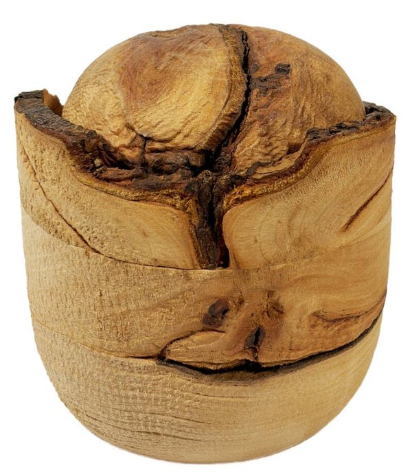 Tierurne Holz Art. 2804