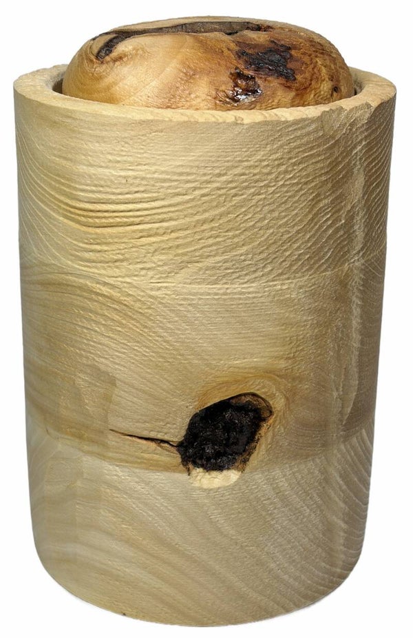 Tierurne Holz Art. 2815