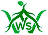 WurzelSpur