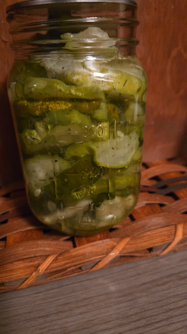 Dill Pickles 🥒 Home Canned Pint Size