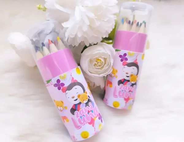 Petite boîte à crayons de couleurs + taille crayon personnalisé thème au choix (couleur de la boîte aléatoire)