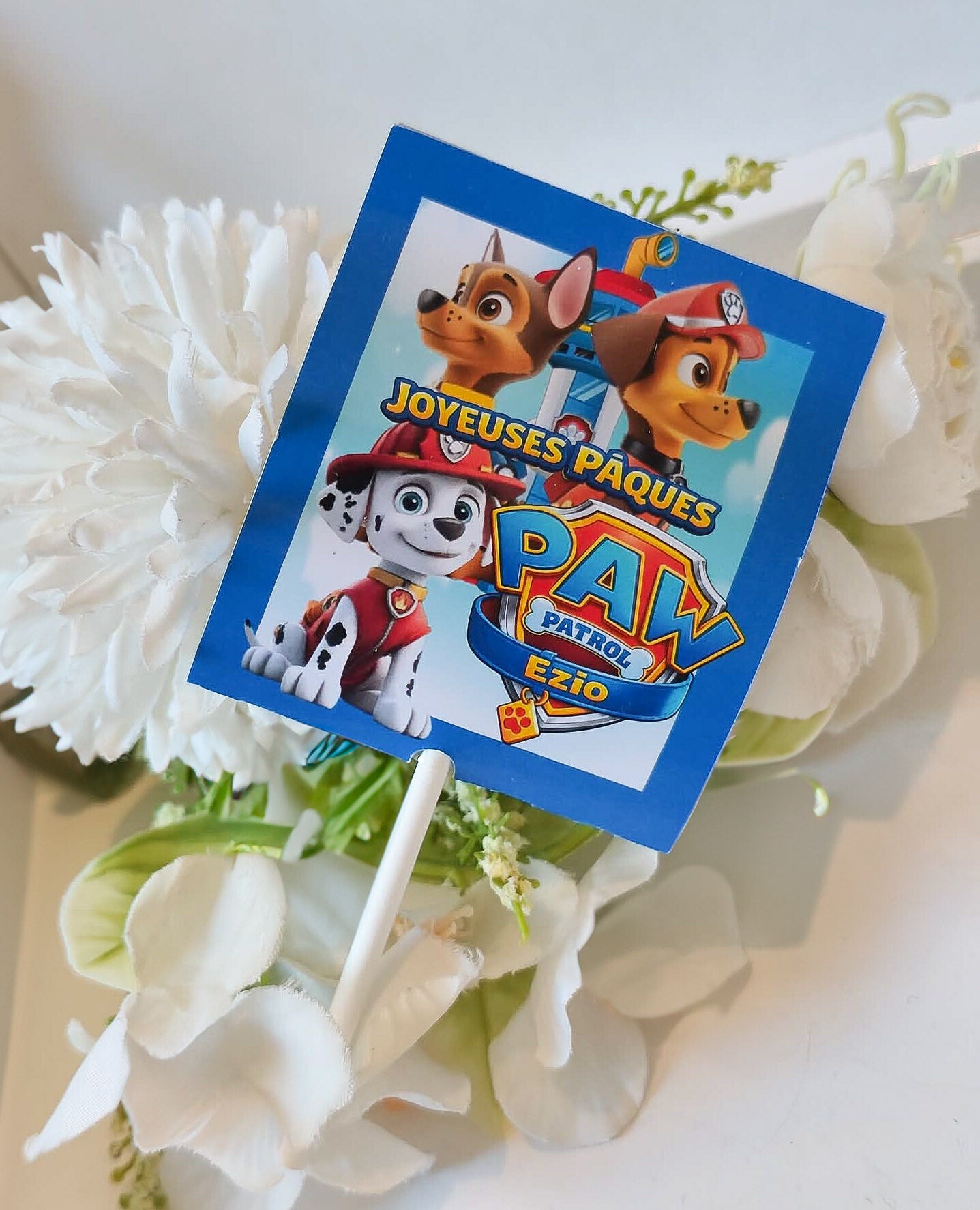 Sucette tache langue personnalisé thème au choix