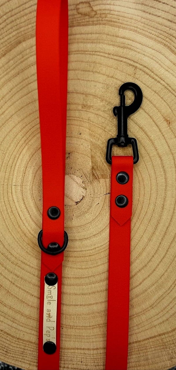 LA LAISSE " ROUGE "