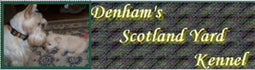 Denham&#039;s Scotland Yard Kennel