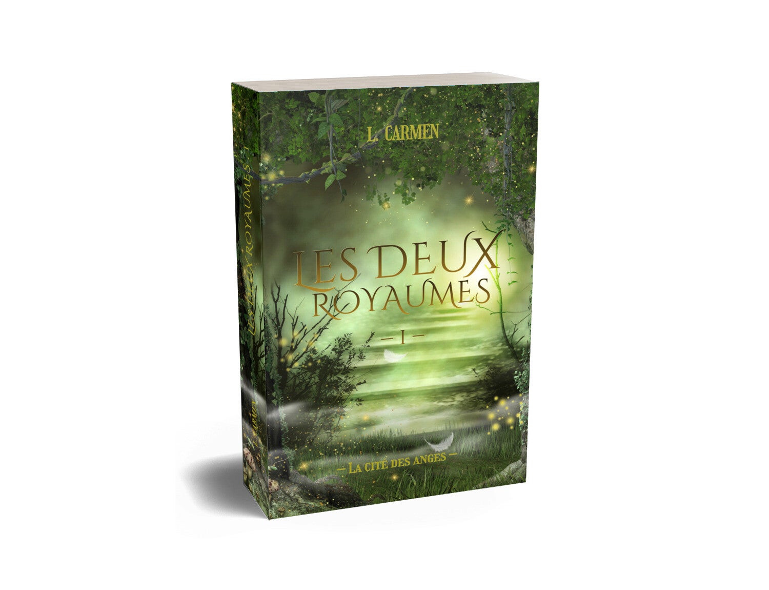 Les Deux Royaumes 1 - La cité des anges