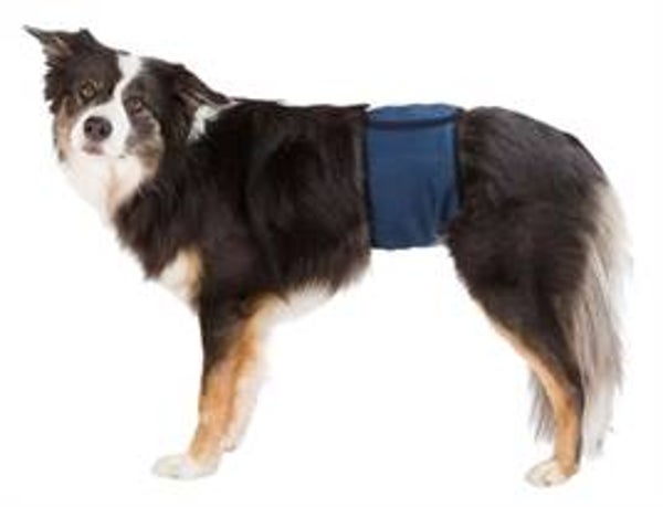 TRIXIE PLASBAND VOOR REUEN MESH DONKERBLAUW M 45-55 CM 2 ST