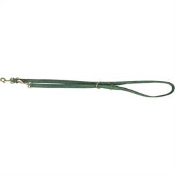 TRIXIE HONDENRIEM PURE VERSTELBAAR LEER SALIEGROEN M-L 200X2 CM