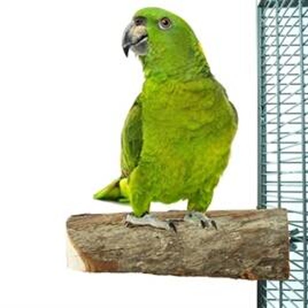 BACK ZOO NATURE WOOD SLICE PERCH CA. 17,5X8,5X4 C