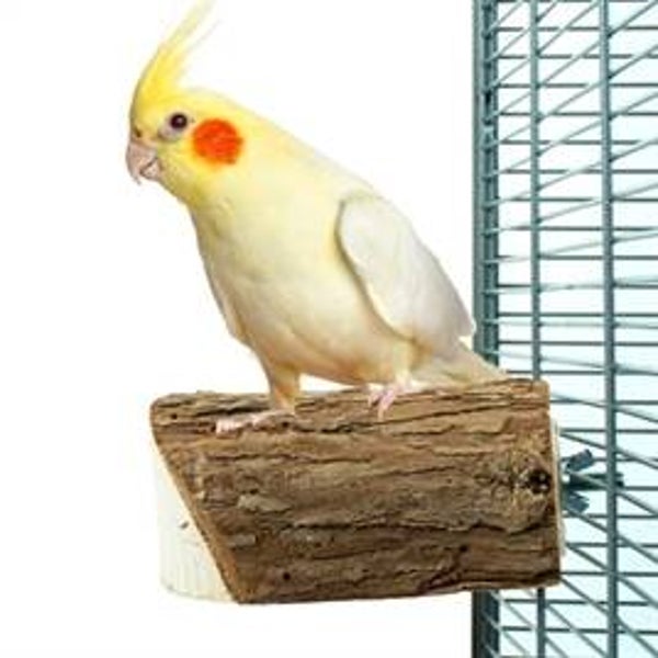 BACK ZOO NATURE WOOD SLICE PERCH CA. 10X7,5X3 CM
