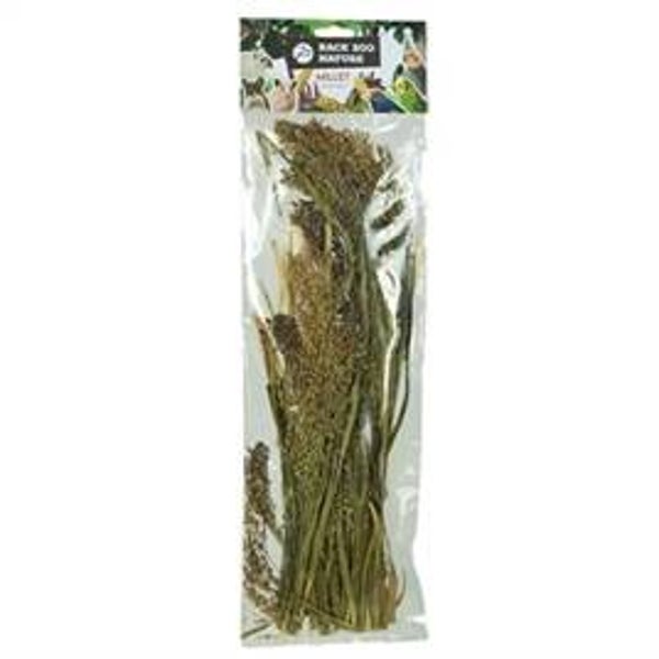 BACK ZOO NATURE MILLET PANICUM 40 GR