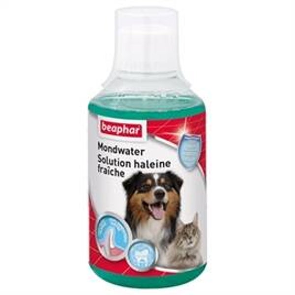 BEAPHAR MONDWATER 250 ML