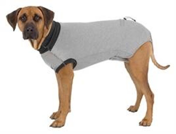 TRIXIE SHIRT VOOR NA OPERATIE GRIJS L-XL 62 CM
