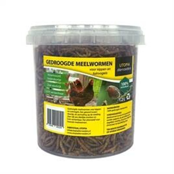 GEDROOGDE MEELWORMEN 1,2 LTR
