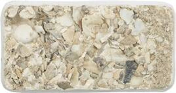 TRIXIE PIKSTEEN MET SCHELPEN MINERALEN EN MOSSELEN 30 GR