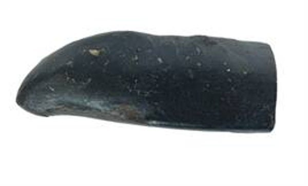 PETSNACK T-REX GROOT 19-22 CM