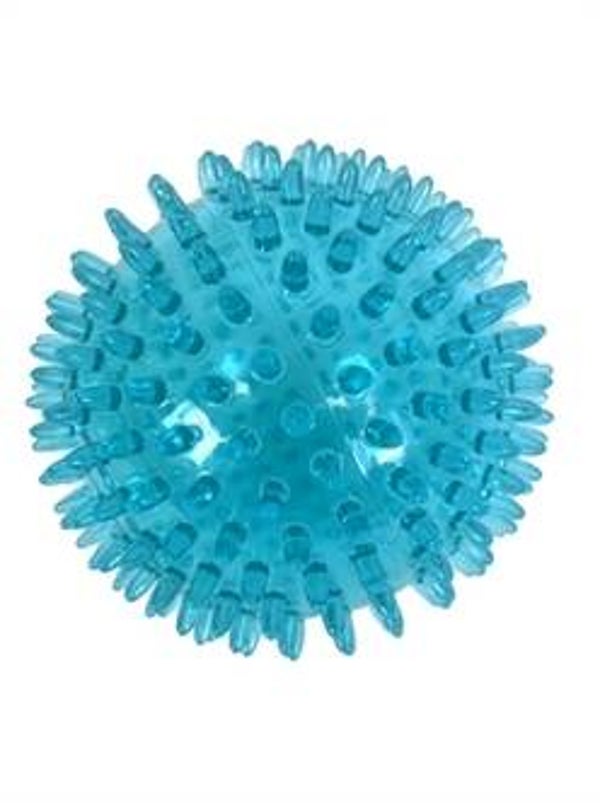 ZOLUX POP TPR STEKELBAL TURQUOISE 8X8X8 CM