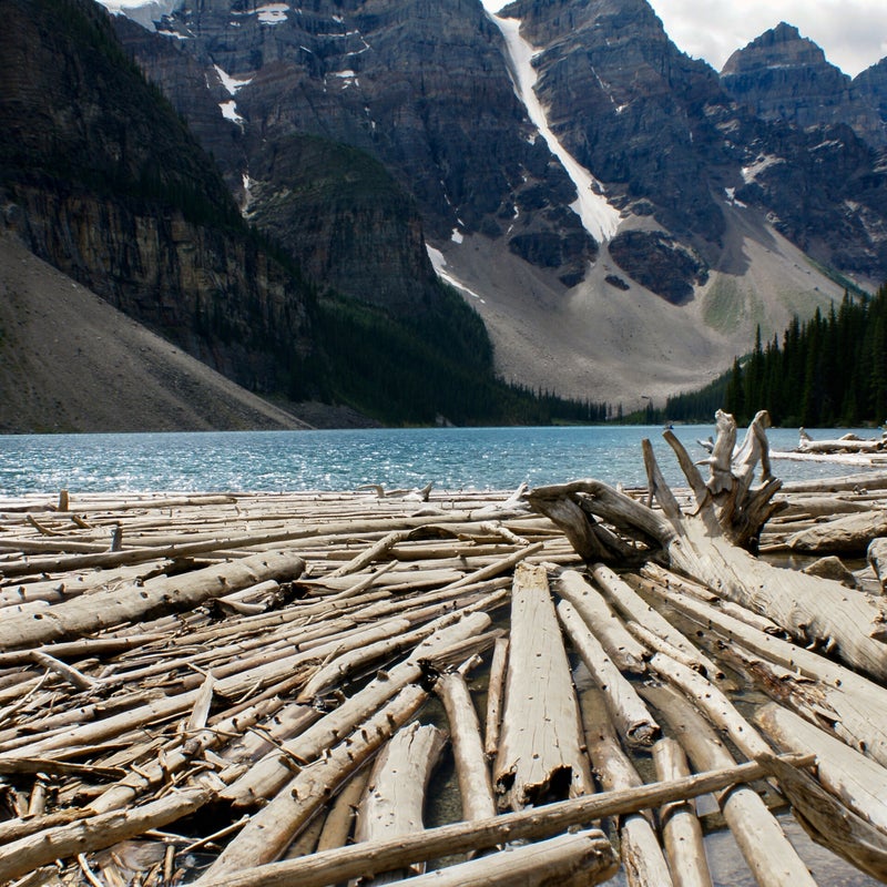 Driftwood_Canada.jpg