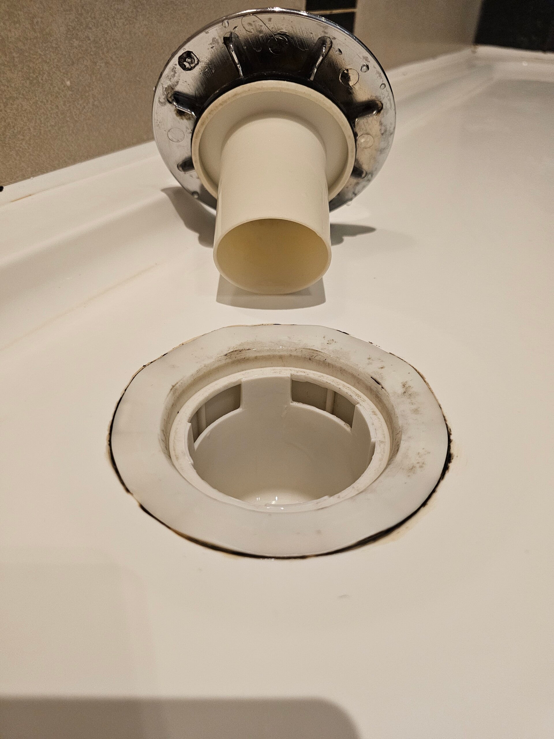 20260320_105254-standard.jpg