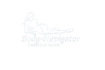 Body-Navigator