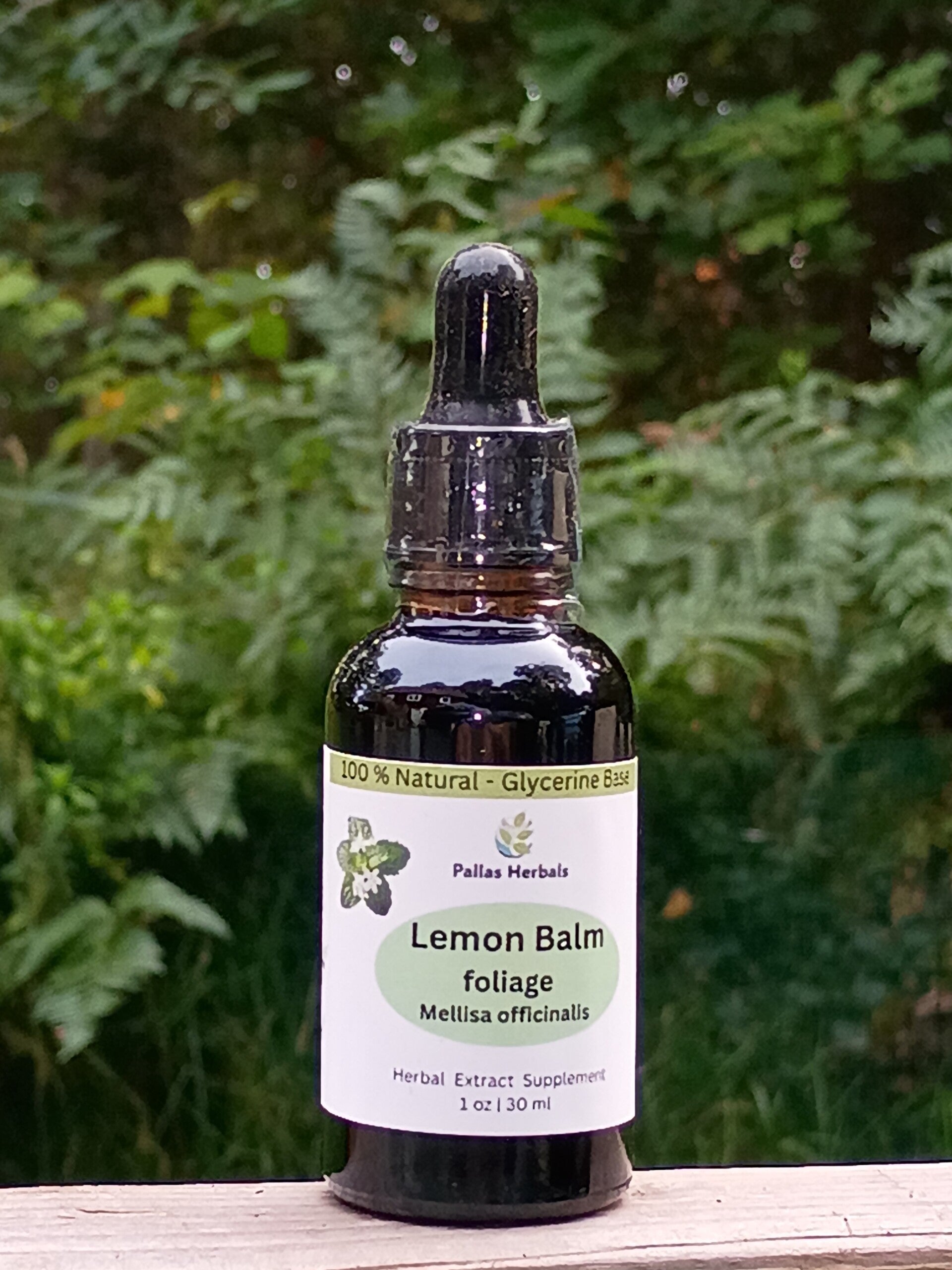 Lemon Balm Leaf Extract (glycerine), 1 fl oz