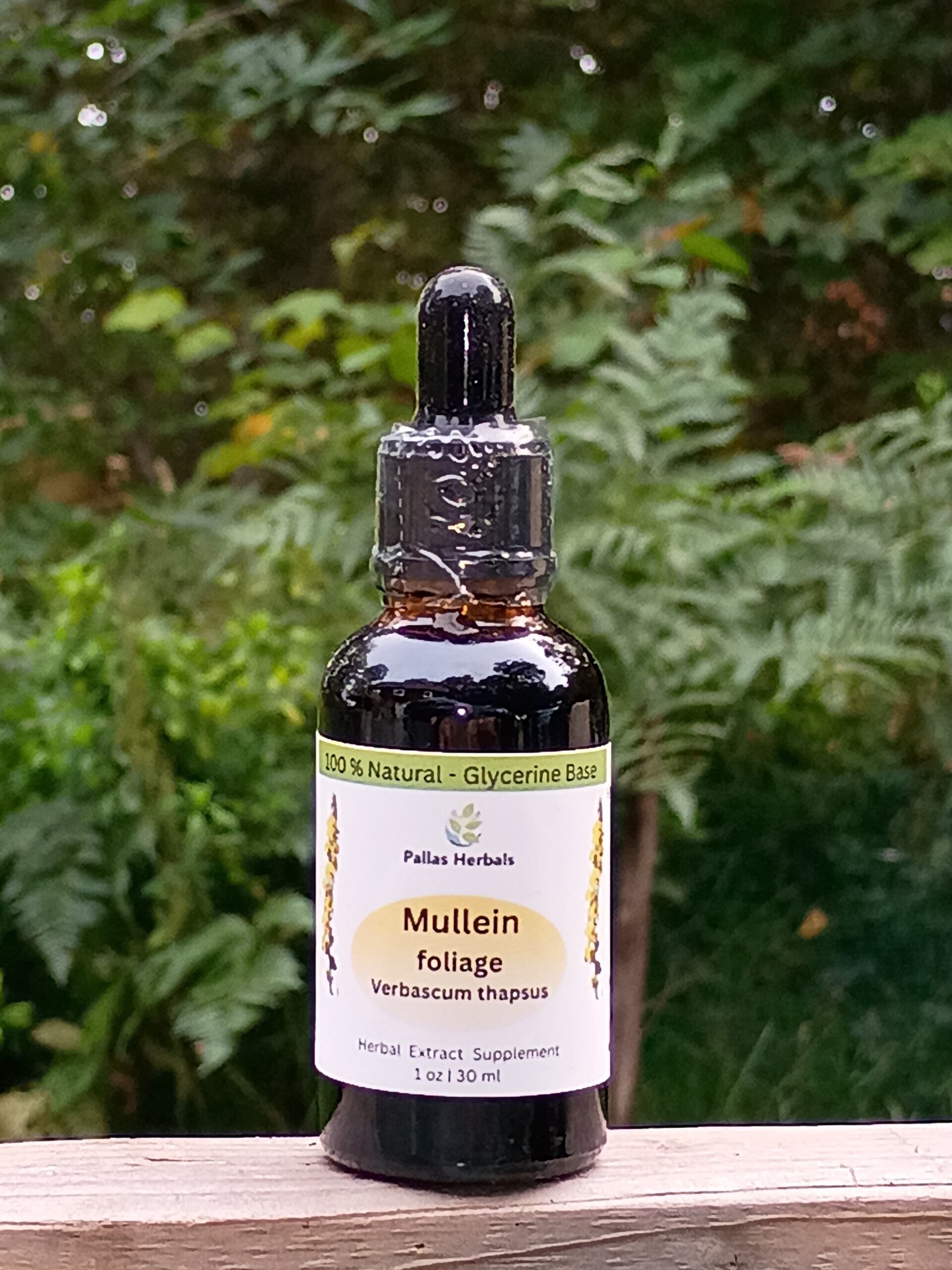 Mullein Leaf Extract (glycerine) 1 fl oz