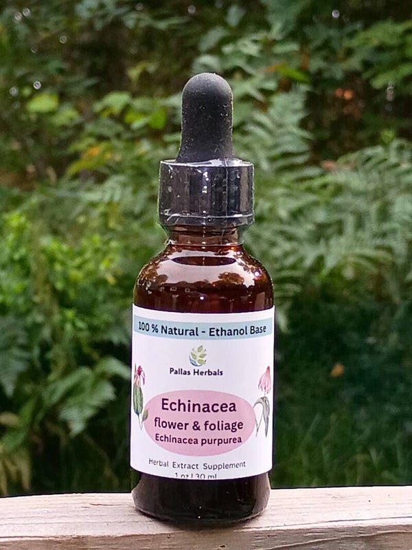 Echinacea leaf/flower extract (ethanol), 1 fl oz