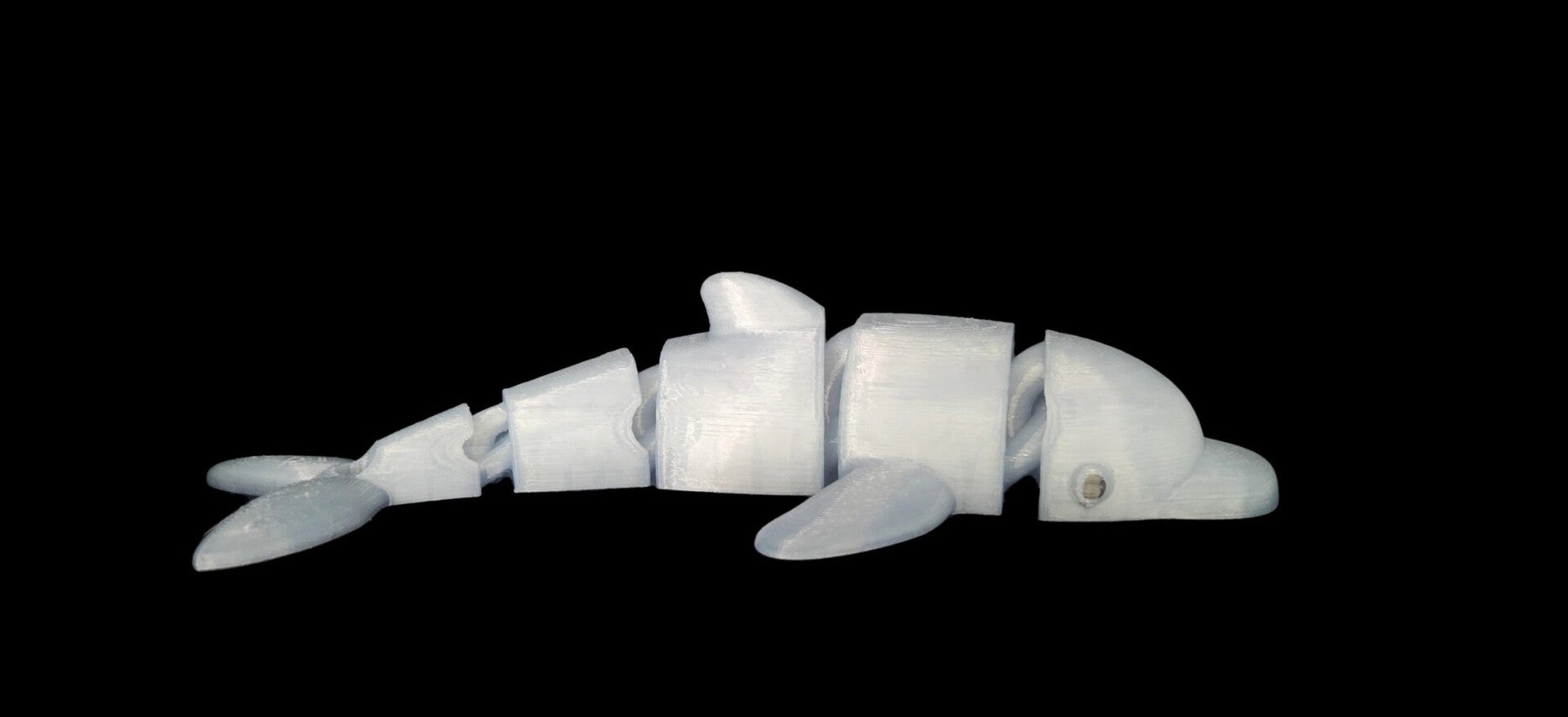 Flexi dolphins