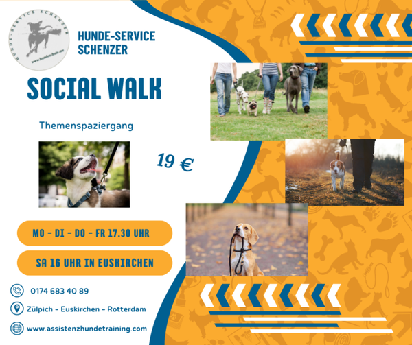 Spaziergang in der Gruppe
